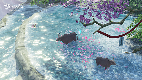 图片: 图2-草庙村水牛.jpg